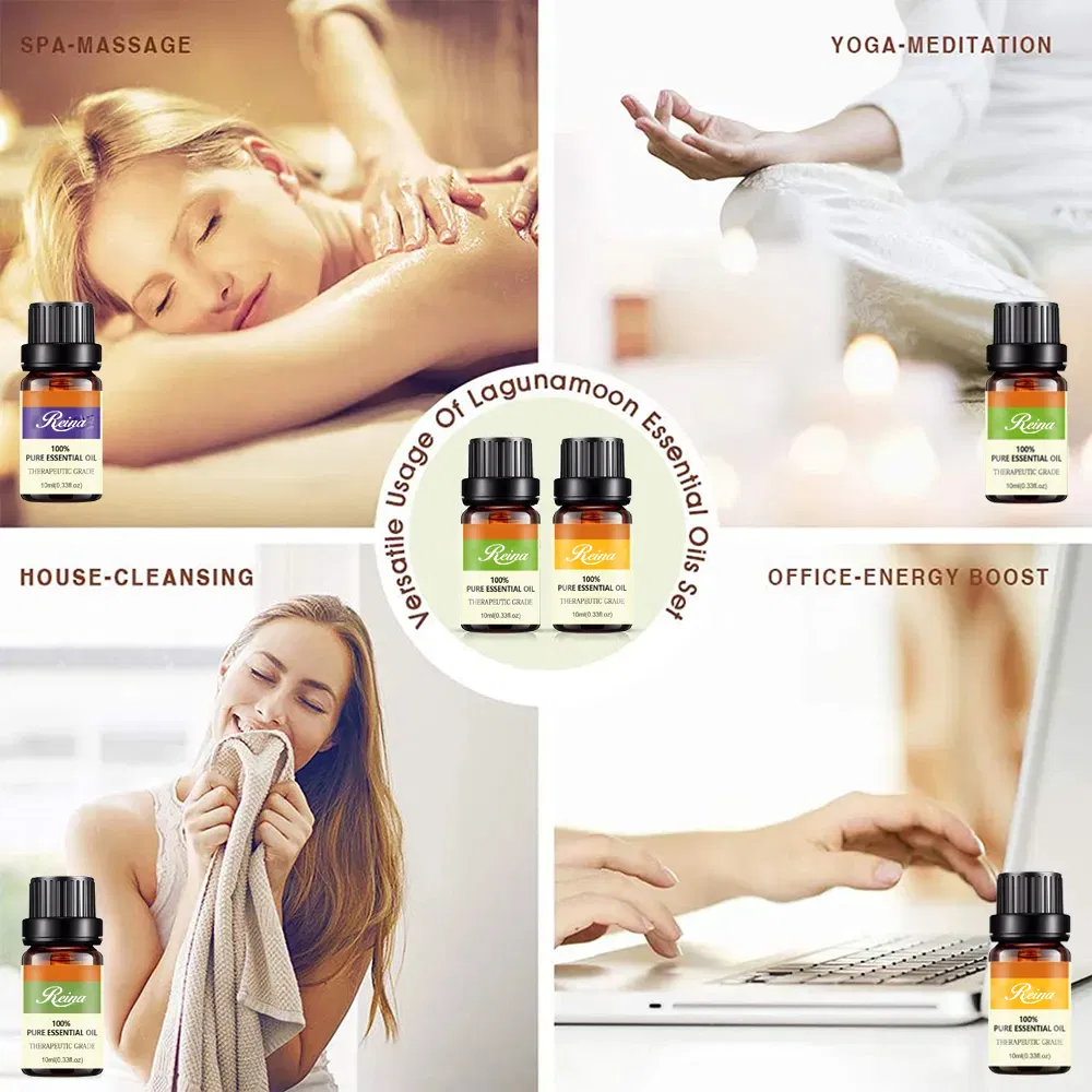 China Manufacture Hot Sale Low MOQ OEM/ODM Kosmetikverpackungsbehälter Glasparfümflasche Massageflasche für ätherische Öle mit Tropfkappe aus Kunststoffdeckel